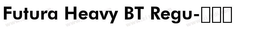 Futura Heavy BT Regu字体转换